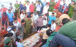 Điều tra vụ ngư dân Quảng Ngãi bị bắn chết ở Trường Sa