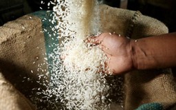 7 tỉnh đề xuất hỗ trợ 7.000 tấn gạo cho gần 500.000 nhân khẩu