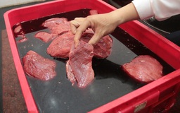 'Thịt heo nái đội lốt thịt bò' nhiễm vi sinh vượt mức cho phép gấp nhiều lần