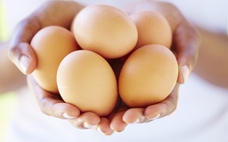 Trứng ngỗng hay trứng gà tốt hơn?