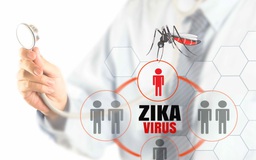 Zika và viêm não tủy lan tỏa cấp