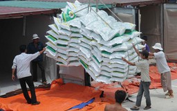 Năm 2016 sẽ xuất khẩu 5,7 triệu tấn gạo