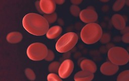 Đột phá trong việc sản sinh tế bào máu