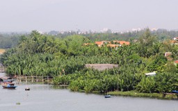 'Thân cò' ở rừng dừa Bảy Mẫu
