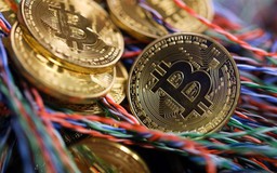 Bitcoin tăng giá 'chóng mặt', vượt 7.000 USD