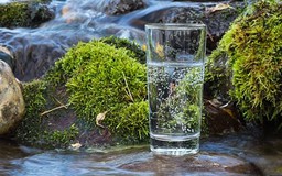 Uống nước suối chưa qua xử lý tiềm ẩn nhiều nguy cơ