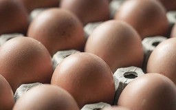 Mỹ thu hồi gần 207 triệu quả trứng gà nghi nhiễm vi khuẩn salmonella