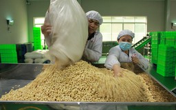 Nông sản Việt lượng nhiều nhưng giá rẻ