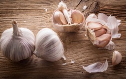 Phát hiện mới: Tỏi giúp điều trị bệnh Lyme