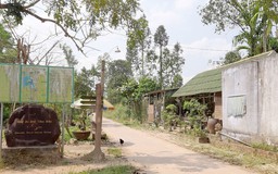 'Giải cứu' làng homestay bên ngoài khu di sản Mỹ Sơn
