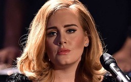 Phản cảm việc fan ăn mừng Adele ly hôn