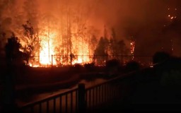 Úc bắt nghi phạm gây thảm họa cháy rừng