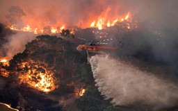 Người Việt giữa thảm họa cháy rừng ở Úc