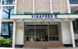 Vinafood 2 thiệt hại hơn 132 tỉ đồng, vì sao nhiều lãnh đạo 'thoát' khởi tố ?