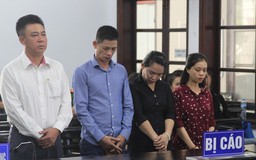 Đề nghị truy tố Tổng giám đốc Công ty Bạch Việt Đinh Tiến Sử