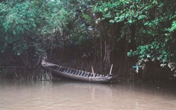 Nơi để quay về