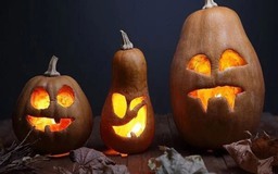 Halloween trở nên đáng sợ nhất đối với nhóm người này