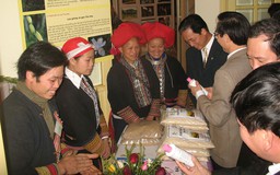 Khám phá thảo dược Việt: Đi tìm 'Tây vương nữ thuốc'