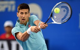 Djokovic lội ngược dòng thành công trước Del Potro