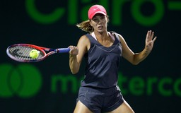 Giải Miami Open: Câu chuyện cổ tích của Collins đã kết thúc