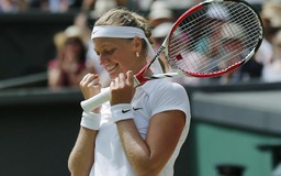 Cựu vô địch Kvitova chưa chắc tham dự Wimbledon 2019