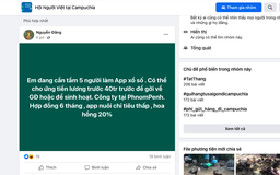 "Việc nhẹ lương cao" quảng cáo trên mạng đa số là lừa đảo