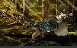 Trung Quốc: Phát hiện khủng long có lông vũ lớn nhất từng tồn tại