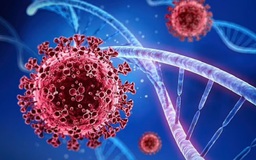 Úc: Phát hiện đột biến trên SARS-CoV-2 có thể kháng thuốc điều trị Covid-19