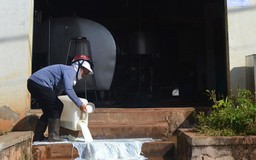 Dalat Milk xin lỗi nông dân, nhưng vẫn nợ tiền sữa