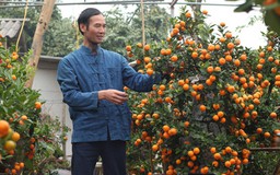 Nhà nông phục vụ Tết - Kỳ 27: Chăm quất bonsai khó như 'nuôi trẻ'