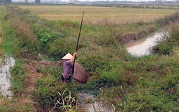 Doanh nghiệp chây ì, dân ‘dài cổ’ chờ sổ đỏ