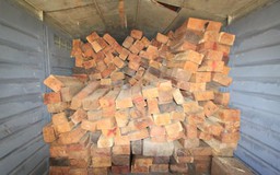 Xét xử vụ ‘thổi bay’ hơn 12 tấn gỗ hương trong 1 giờ