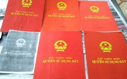 Ùn tắc cấp giấy chứng nhận