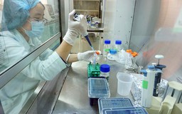Sẽ đăng ký lưu hành vắc xin sốt xuất huyết tại Việt Nam