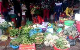 Giá rau củ đầu năm tại Quảng Trị tăng 'chóng mặt'
