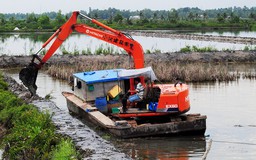 'Canh bạc' nuôi tôm công nghiệp ngoài quy hoạch