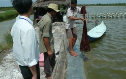 Đào tạo nghề cho nông dân tại hiện trường