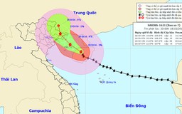 Bão vào Hải Phòng, Quảng Ninh