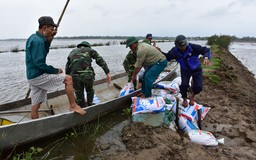 Thừa Thiên-Huế phải gieo sạ lại gần 2.000 ha lúa ngập úng