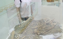 Phát hiện di cốt niên đại hơn 5.000 năm tại Bàu Dũ