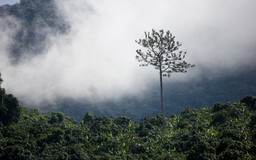 Ma Thiên Lãnh hoang sơ 'hút hồn' dân phượt