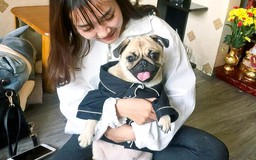 Ăn nên làm ra nhờ dịch vụ chăm sóc thú cưng