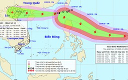 Ứng phó bão số 5 và siêu bão Mangkhut