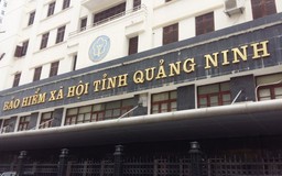 Quảng Ninh đề nghị truy tố 7 doanh nghiệp nợ đọng BHXH