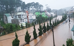 Ngỡ ngàng phố núi Đà Lạt ngập lụt