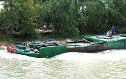 Khẩn cấp cứu hơn 12.000 ha sầu riêng