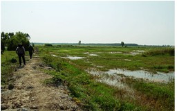 Tìm cách trữ nước cho Đồng bằng sông Cửu Long