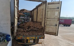 Hơn 24 tấn hàng nghi than đá dưới lớp dăm gỗ để xuất khẩu