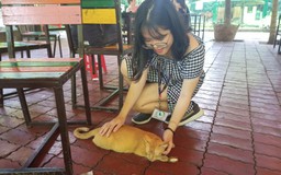 Nữ sinh viên 'có duyên' với mèo: 'Nhặt ngoài đường về nuôi không hề xui xẻo"