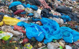 Đà Nẵng: Thu hồi rác lẫn đồ chống dịch đổ ở bãi rác Khánh Sơn